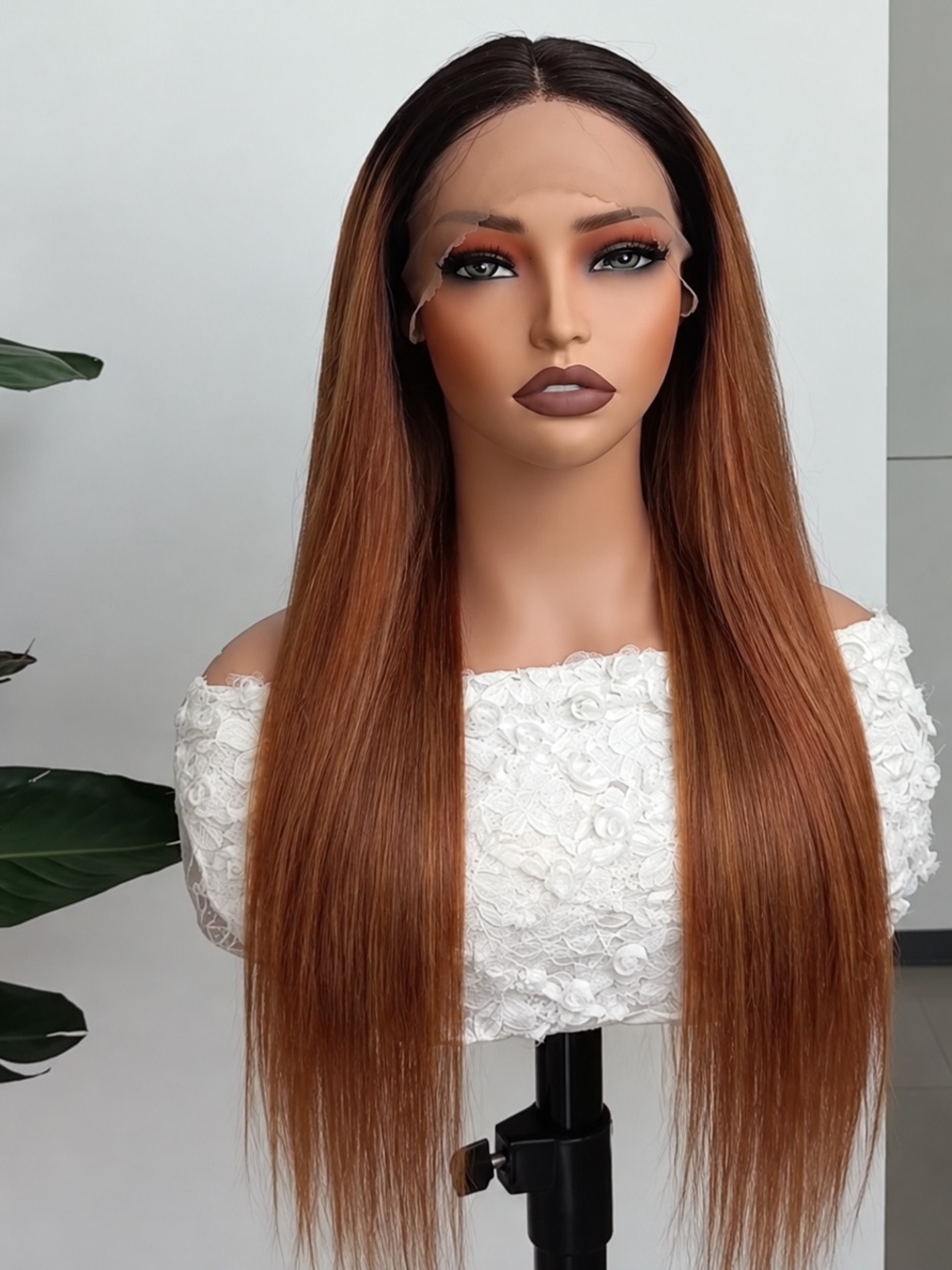 Brown Ombre Straight Lace Front Wig - Unbranded